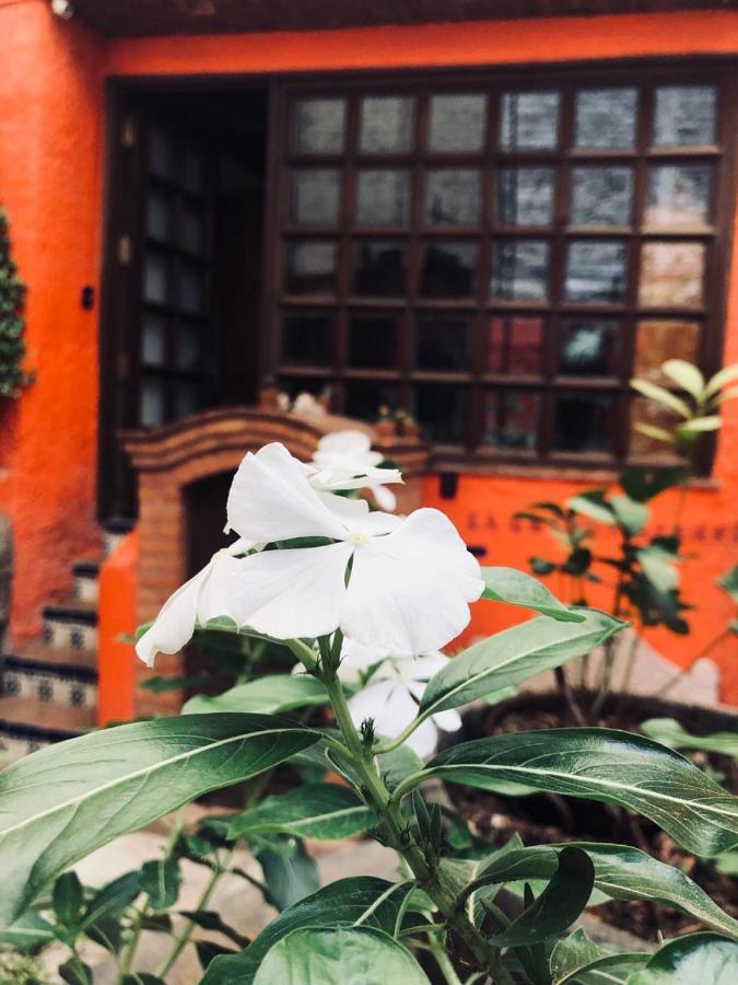 Casa Azul Hotel Guanajuato Eksteriør billede